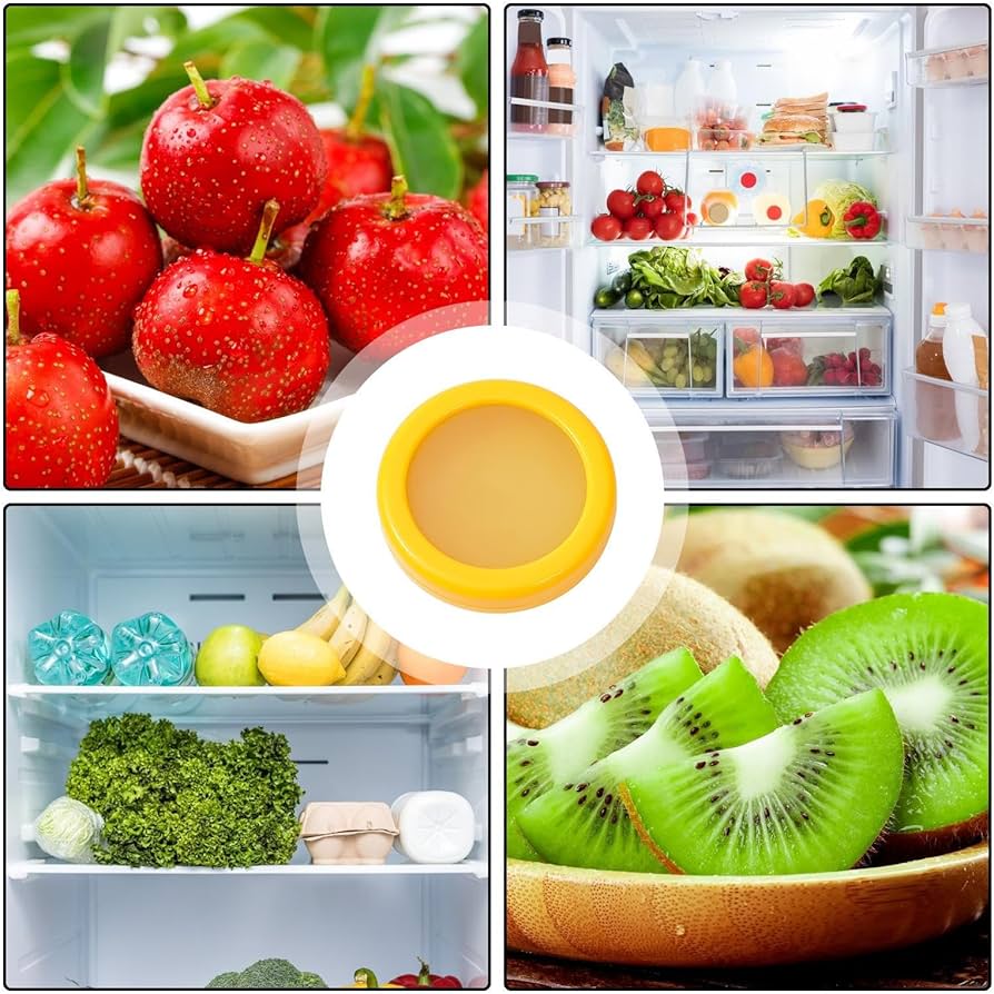 RECIPIENTE DE CONSERVACIÓN DE ALIMENTOS (5 UNIDADES)