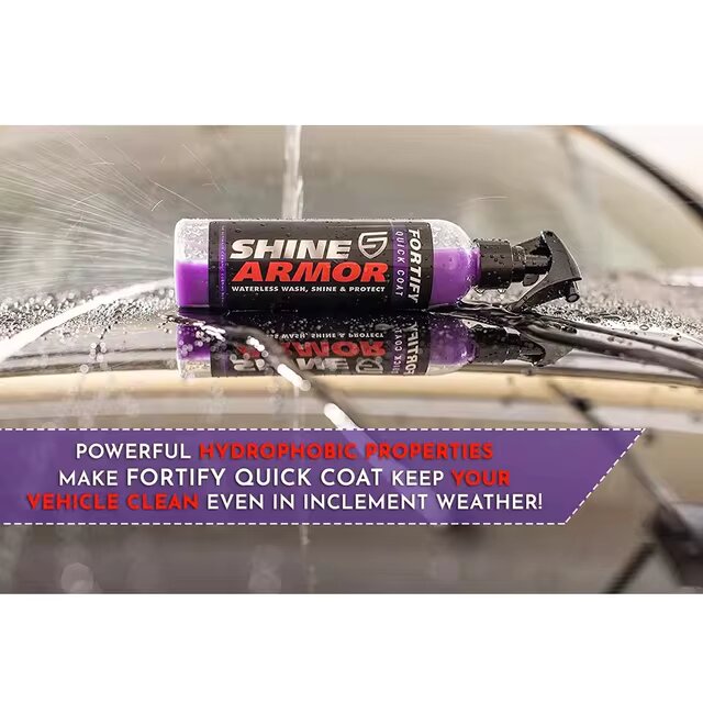 PROTECTOR DE CERAMICA PARA PINTURA