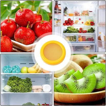 RECIPIENTE DE CONSERVACIÓN DE ALIMENTOS (5 UNIDADES)