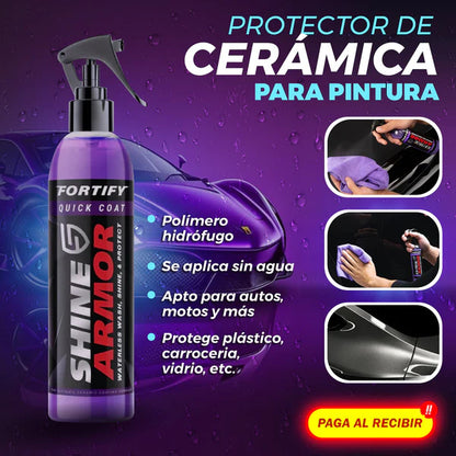 PROTECTOR DE CERAMICA PARA PINTURA